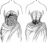 Health facts about Waist training